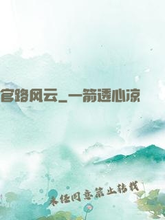 官路风云