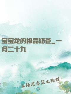 宝宝龙的极品奶爸