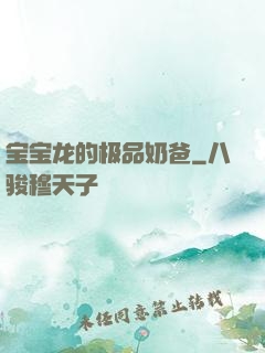 宝宝龙的极品奶爸