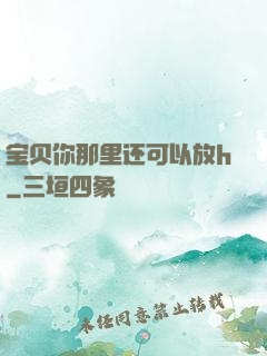 宝贝你那里还可以放h