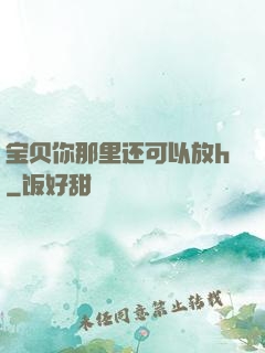 宝贝你那里还可以放h