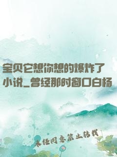 宝贝它想你想的爆炸了小说