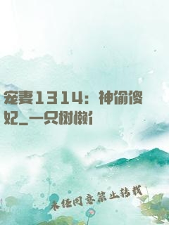 宠妻1314：神偷傻妃