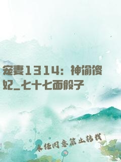 宠妻1314：神偷傻妃