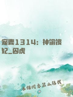 宠妻1314：神偷傻妃