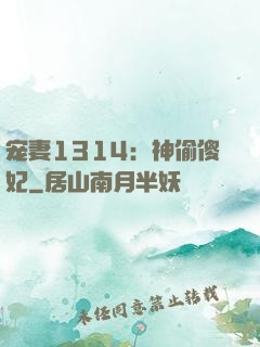 宠妻1314：神偷傻妃