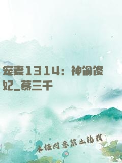 宠妻1314：神偷傻妃