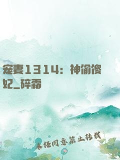 宠妻1314：神偷傻妃