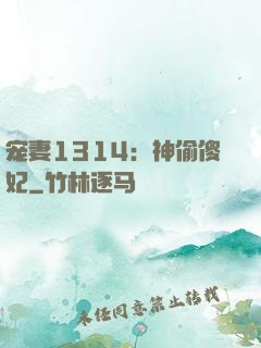 宠妻1314：神偷傻妃