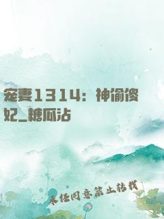 宠妻1314：神偷傻妃