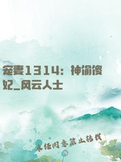 宠妻1314：神偷傻妃