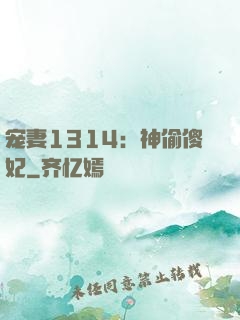 宠妻1314：神偷傻妃