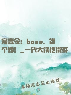 宠妻令：boss，借个婚！