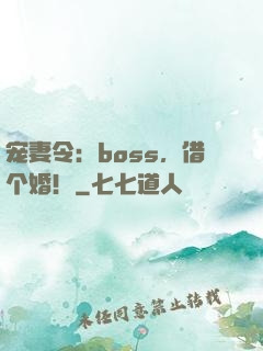 宠妻令：boss，借个婚！
