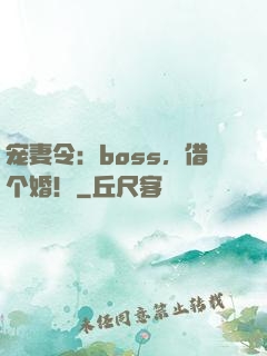 宠妻令：boss，借个婚！