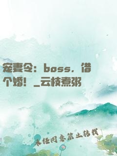 宠妻令：boss，借个婚！