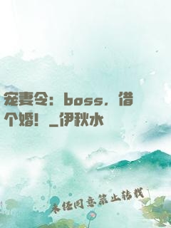 宠妻令：boss，借个婚！