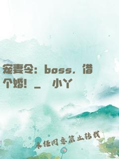 宠妻令：boss，借个婚！