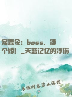宠妻令：boss，借个婚！