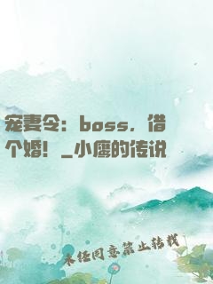宠妻令：boss，借个婚！