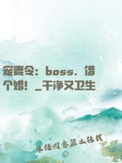 宠妻令：boss，借个婚！