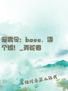 宠妻令：boss，借个婚！
