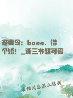 宠妻令：boss，借个婚！