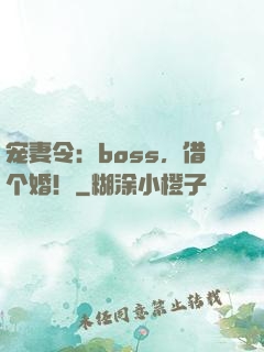 宠妻令：boss，借个婚！