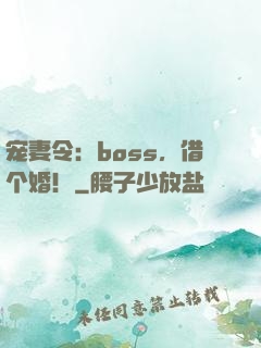 宠妻令：boss，借个婚！