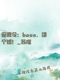 宠妻令：boss，借个婚！