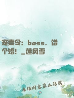 宠妻令：boss，借个婚！