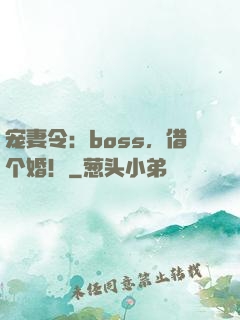 宠妻令：boss，借个婚！
