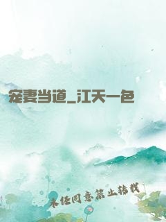 宠妻当道