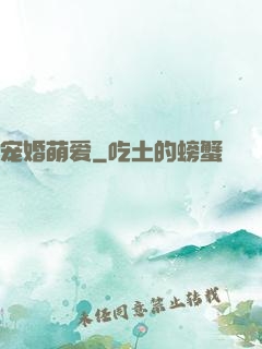 宠婚萌爱