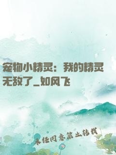 宠物小精灵：我的精灵无敌了
