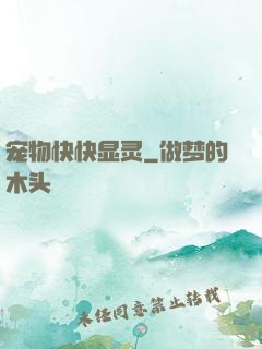 宠物快快显灵