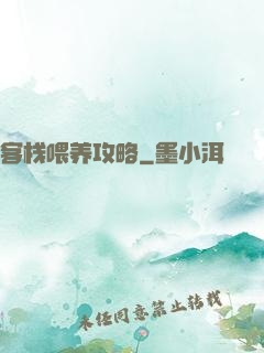 客栈喂养攻略