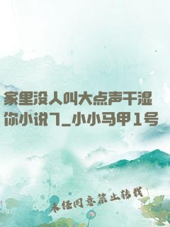 家里没人叫大点声干湿你小说7