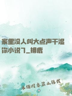 家里没人叫大点声干湿你小说7
