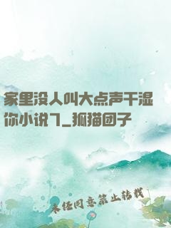 家里没人叫大点声干湿你小说7
