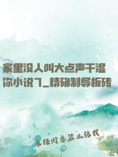 家里没人叫大点声干湿你小说7