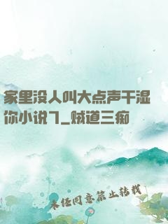 家里没人叫大点声干湿你小说7
