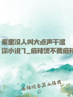 家里没人叫大点声干湿你小说7