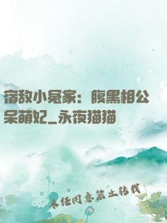 宿敌小冤家：腹黑相公呆萌妃
