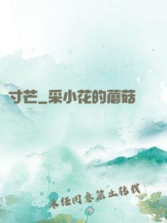 寸芒