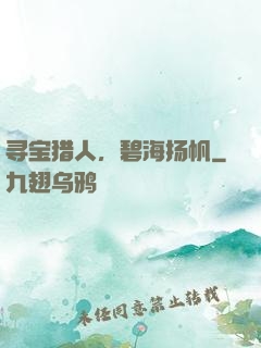 寻宝猎人，碧海扬帆