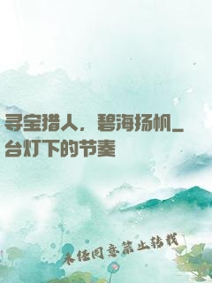 寻宝猎人，碧海扬帆