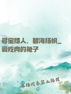 寻宝猎人，碧海扬帆