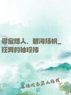 寻宝猎人，碧海扬帆
