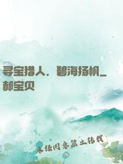 寻宝猎人，碧海扬帆
